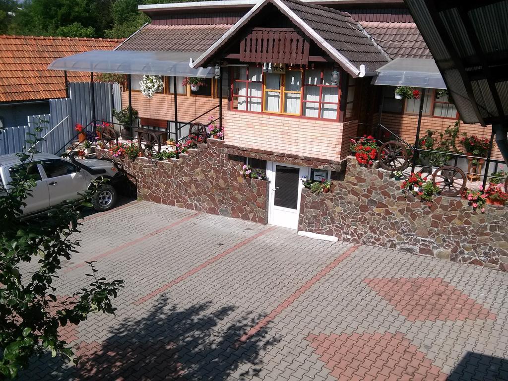 Pensiunea Irina Brad  Exterior photo