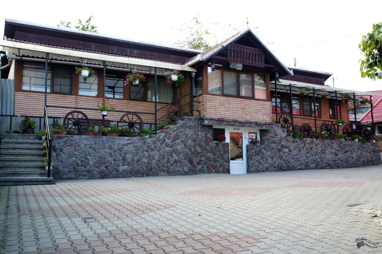 Pensiunea Irina Brad  Exterior photo