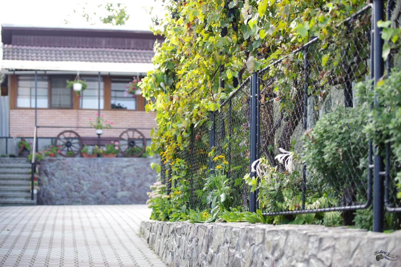 Pensiunea Irina Brad  Exterior photo